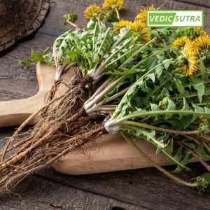 Dandelion root is the one of the ayurvedic herb and remedies for Liver Detoxification