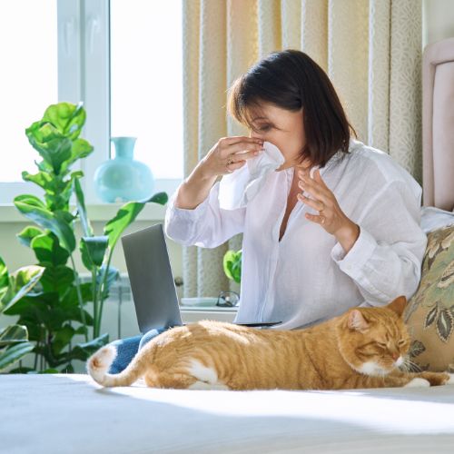 Ayurvedic Treatment for Allergic Rhinitis