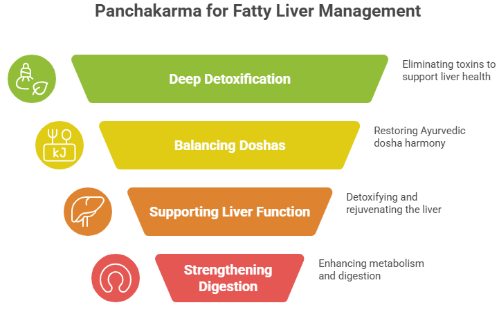 Role of Panchakarma Treatment to Treat Fatty Liver